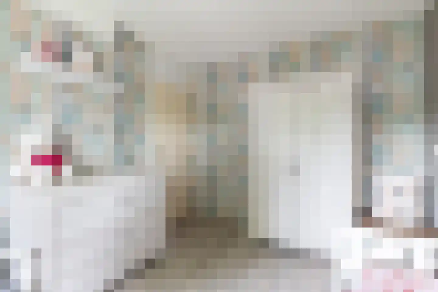 Gele Varaan 15 Heerhugowaard thumbnail 17