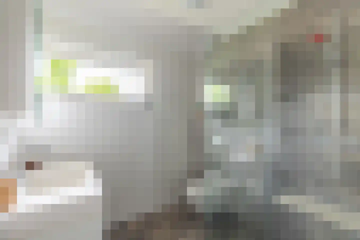 Gele Varaan 15 Heerhugowaard thumbnail 27
