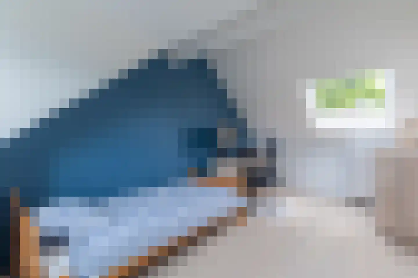 Gele Varaan 15 Heerhugowaard thumbnail 32