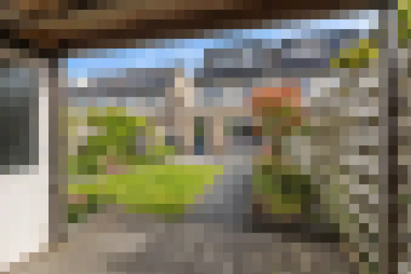 Gele Varaan 15 Heerhugowaard thumbnail 38