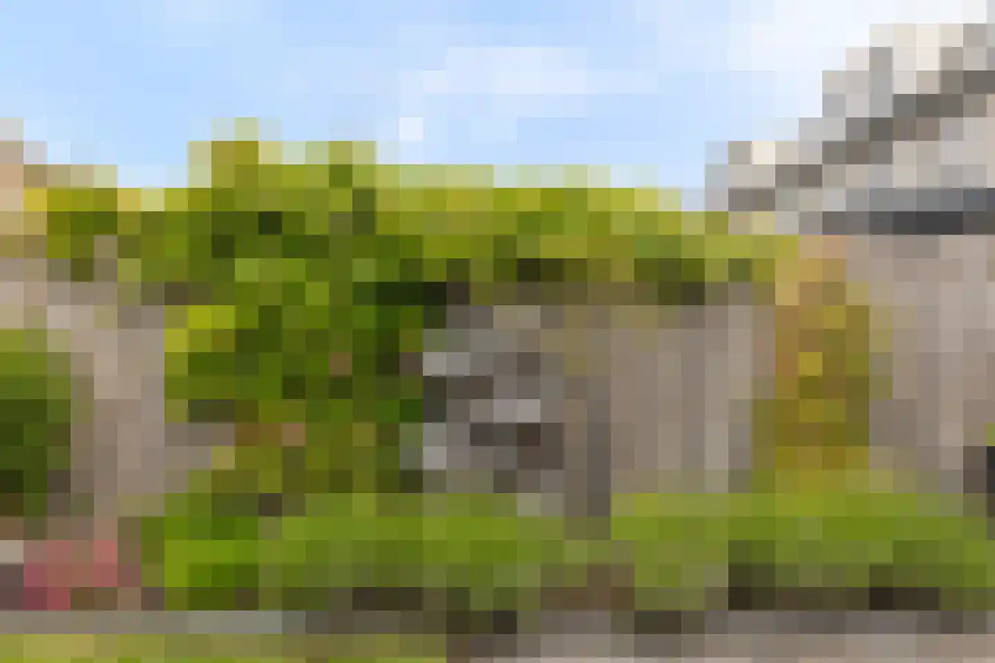 Gele Varaan 15 Heerhugowaard thumbnail 40