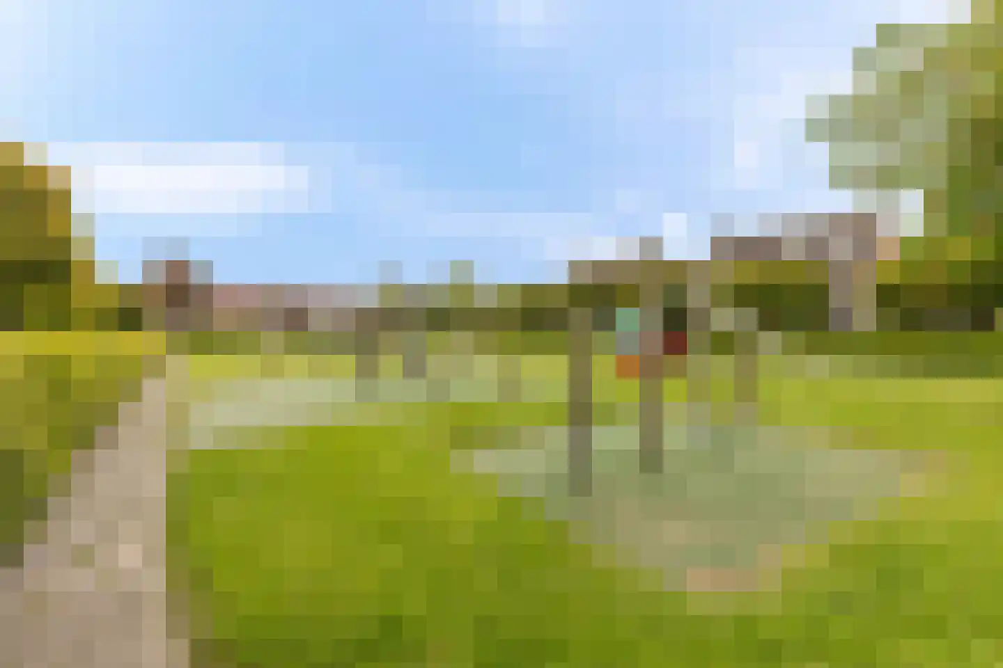Gele Varaan 15 Heerhugowaard thumbnail 43