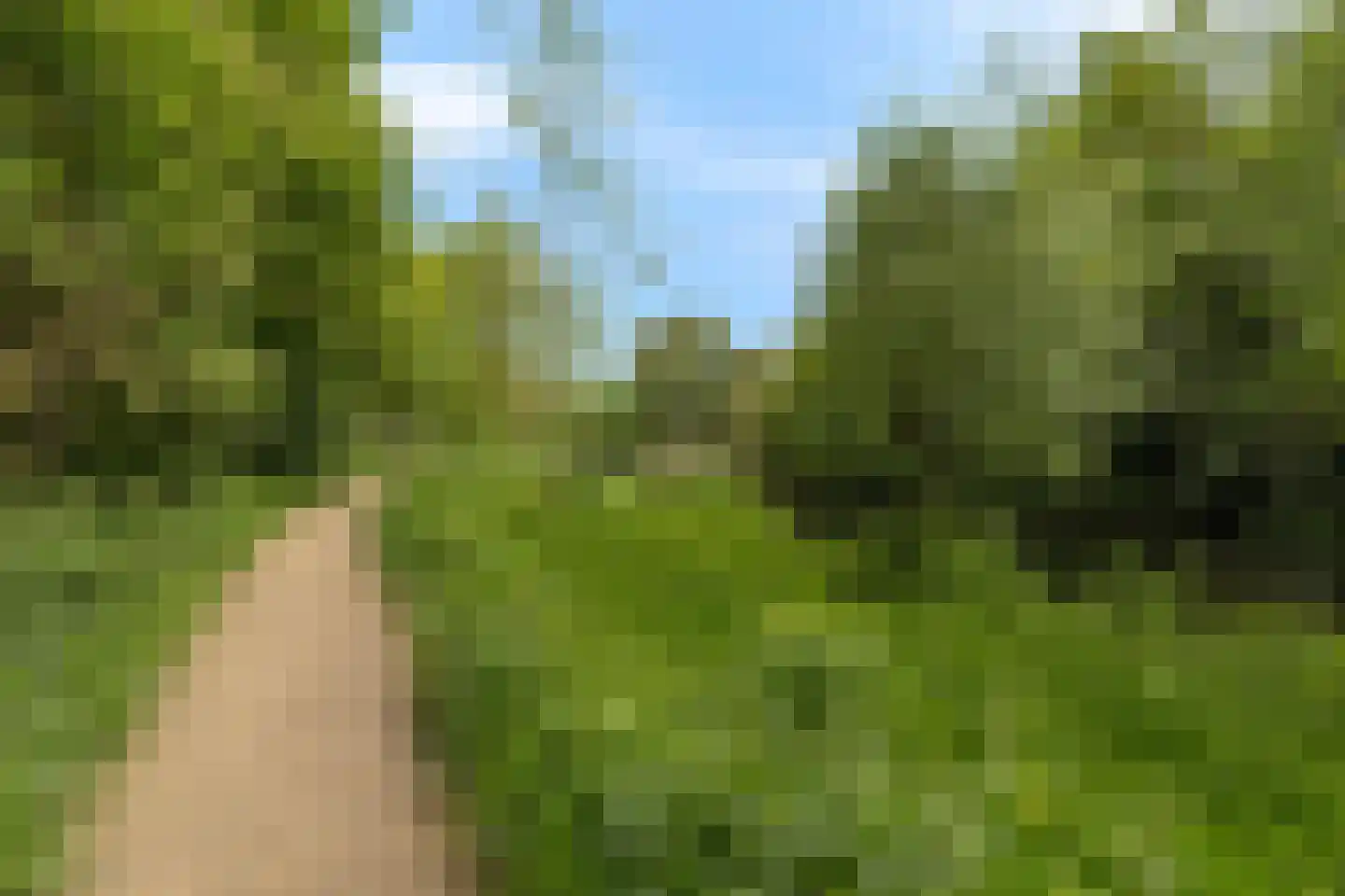 Gele Varaan 15 Heerhugowaard thumbnail 44