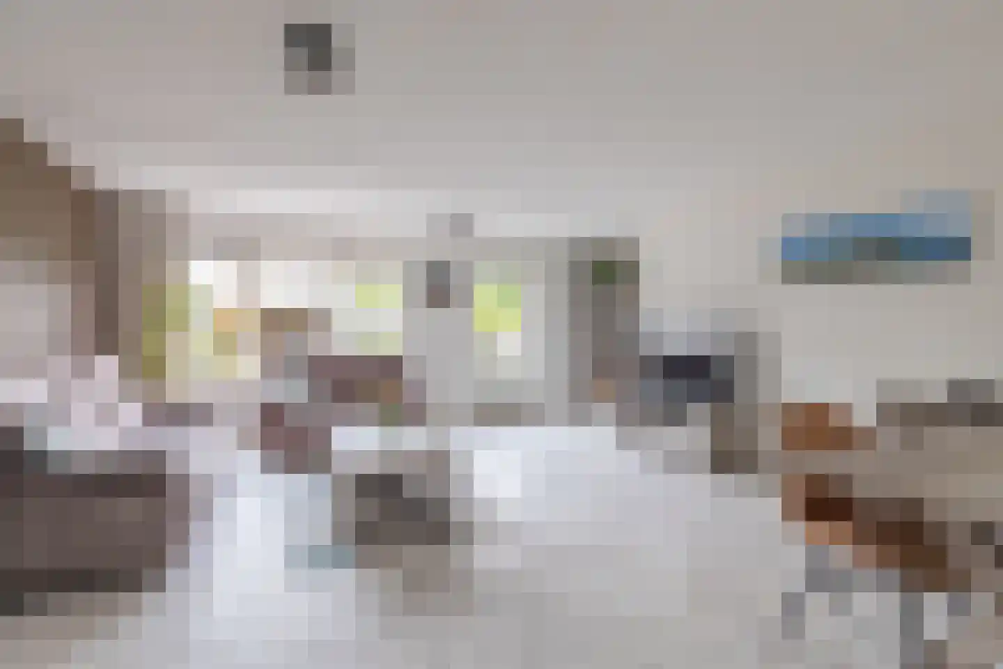 Gele Varaan 15 Heerhugowaard thumbnail 7