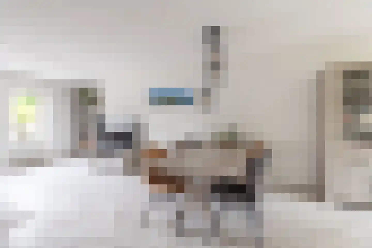 Gele Varaan 15 Heerhugowaard thumbnail 8