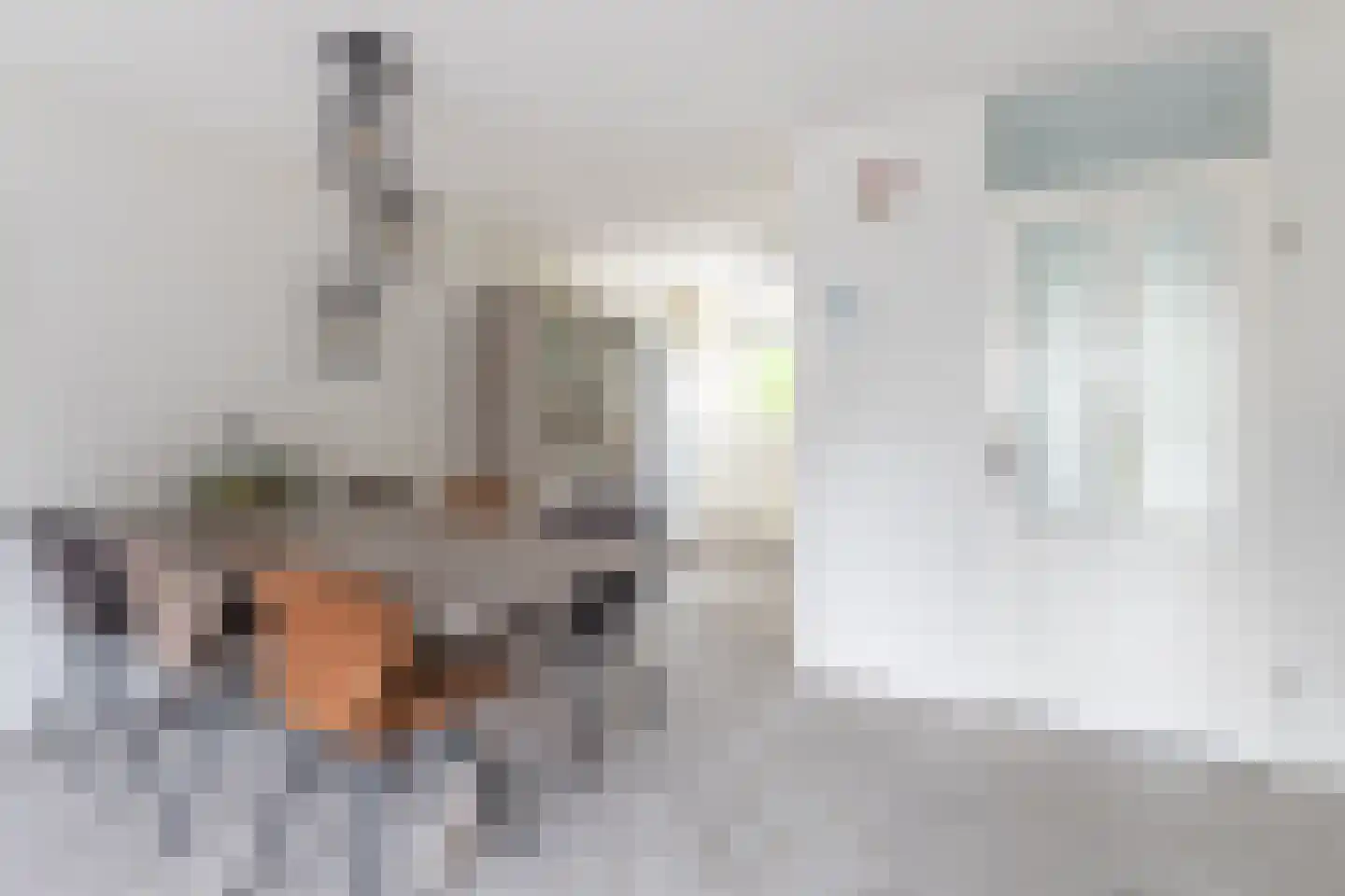Gele Varaan 15 Heerhugowaard thumbnail 9