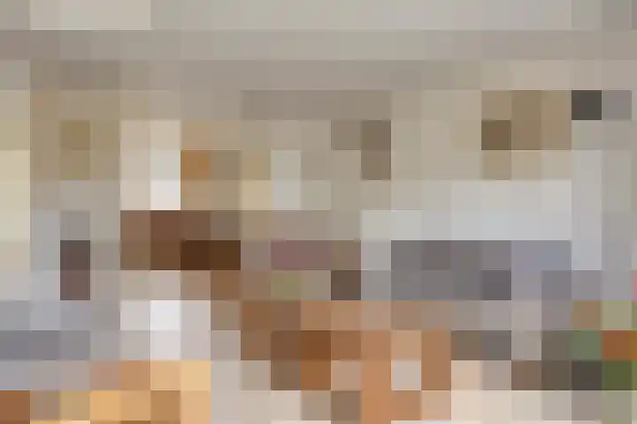 Gele Varaan 18 Heerhugowaard thumbnail 10