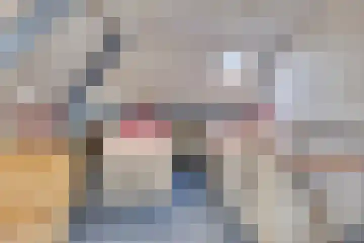 Gele Varaan 18 Heerhugowaard thumbnail 30