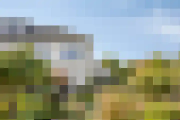 Gele Varaan 18 Heerhugowaard thumbnail 31