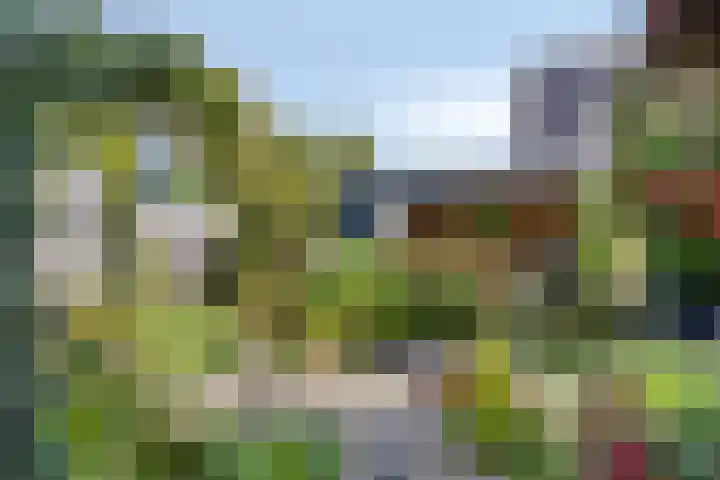 Gele Varaan 18 Heerhugowaard thumbnail 33