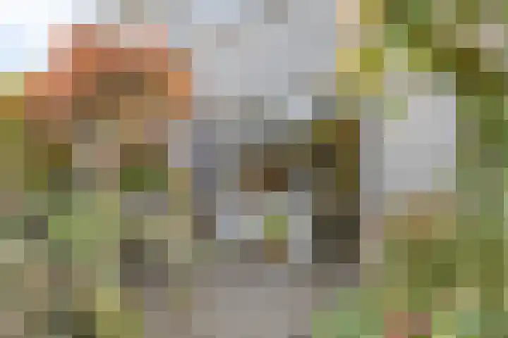 Gele Varaan 18 Heerhugowaard thumbnail 36
