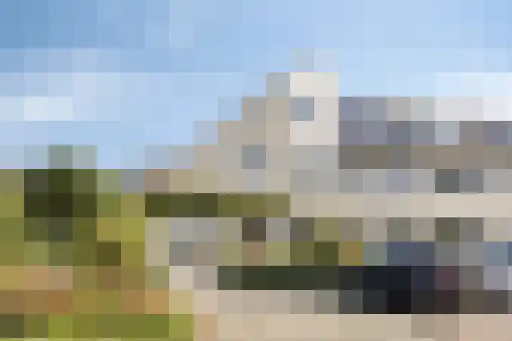 Gele Varaan 18 Heerhugowaard thumbnail 38