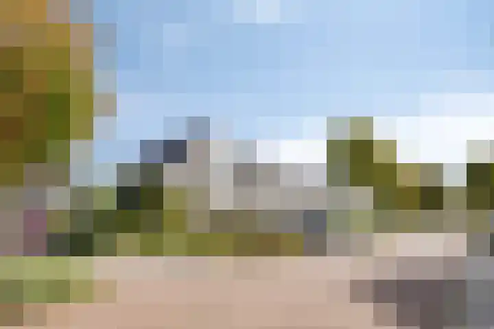 Gele Varaan 18 Heerhugowaard thumbnail 39