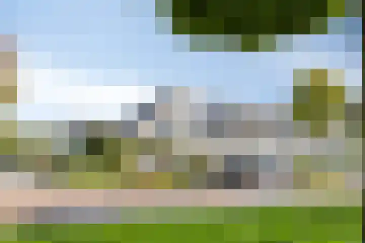 Gele Varaan 18 Heerhugowaard thumbnail 40