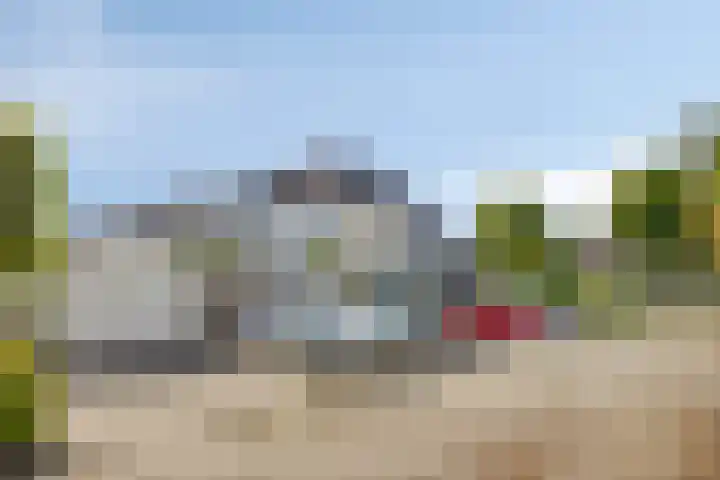 Gele Varaan 18 Heerhugowaard thumbnail 41