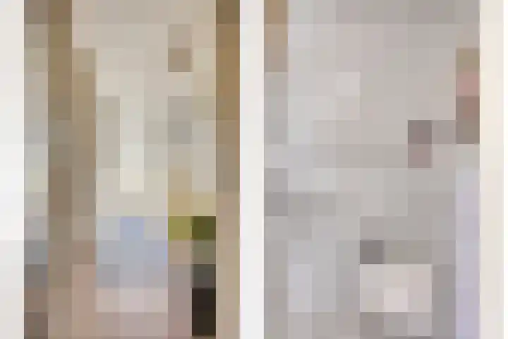 Gele Varaan 18 Heerhugowaard thumbnail 5