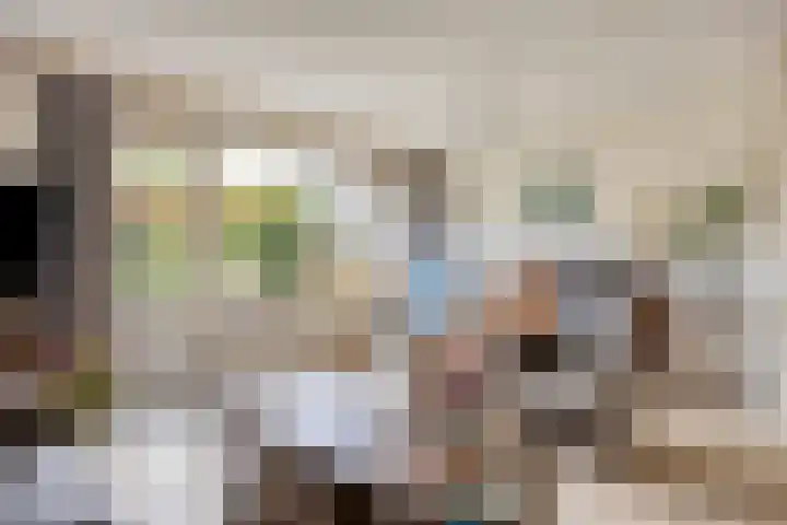 Gele Varaan 18 Heerhugowaard thumbnail 8