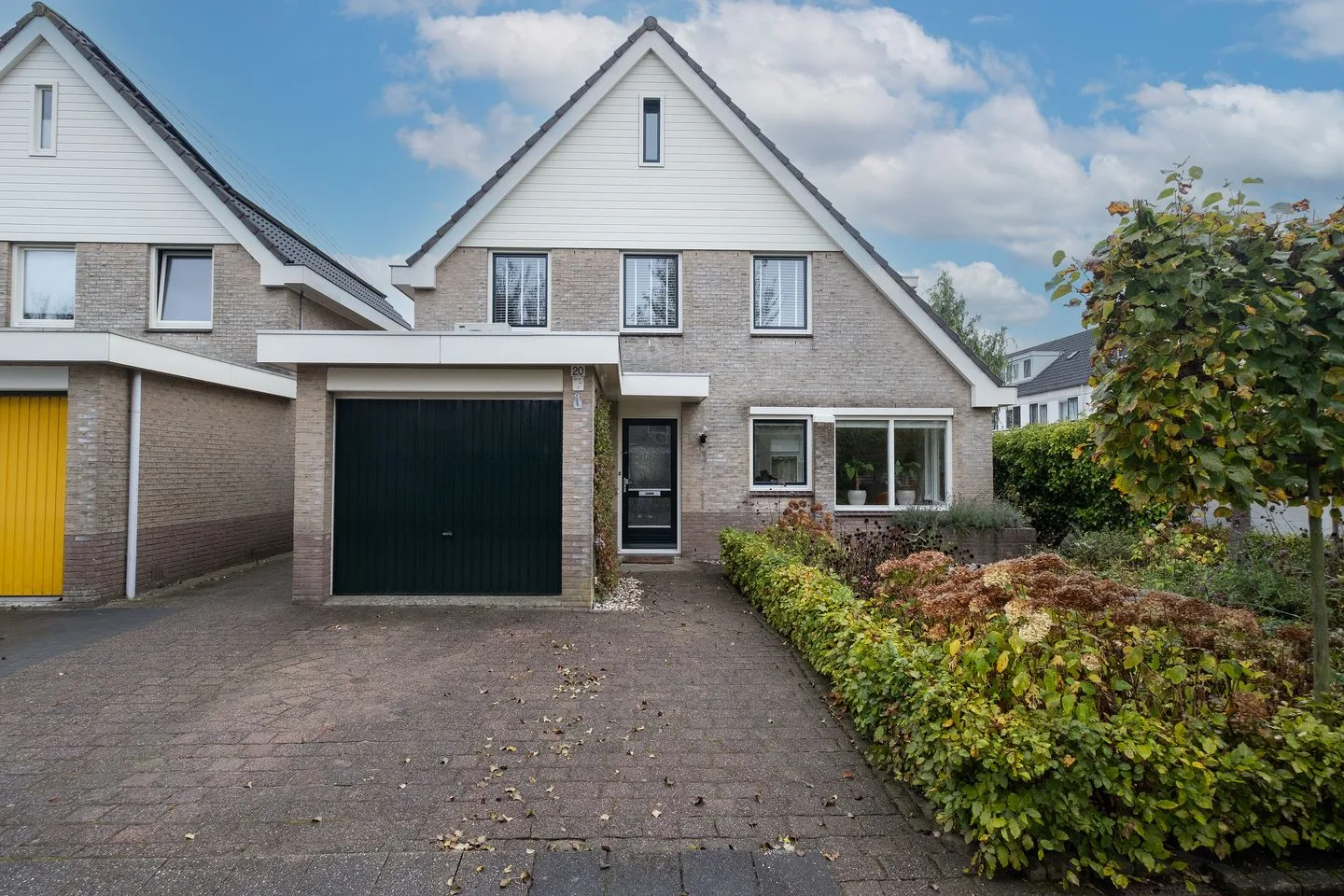Gele Varaan 20 Heerhugowaard