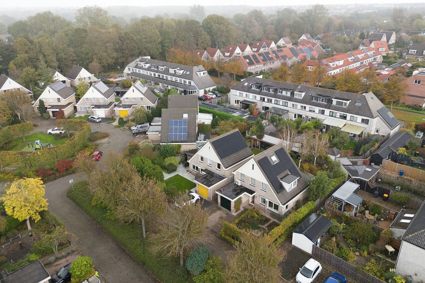 Gele Varaan 20 Heerhugowaard foto 2