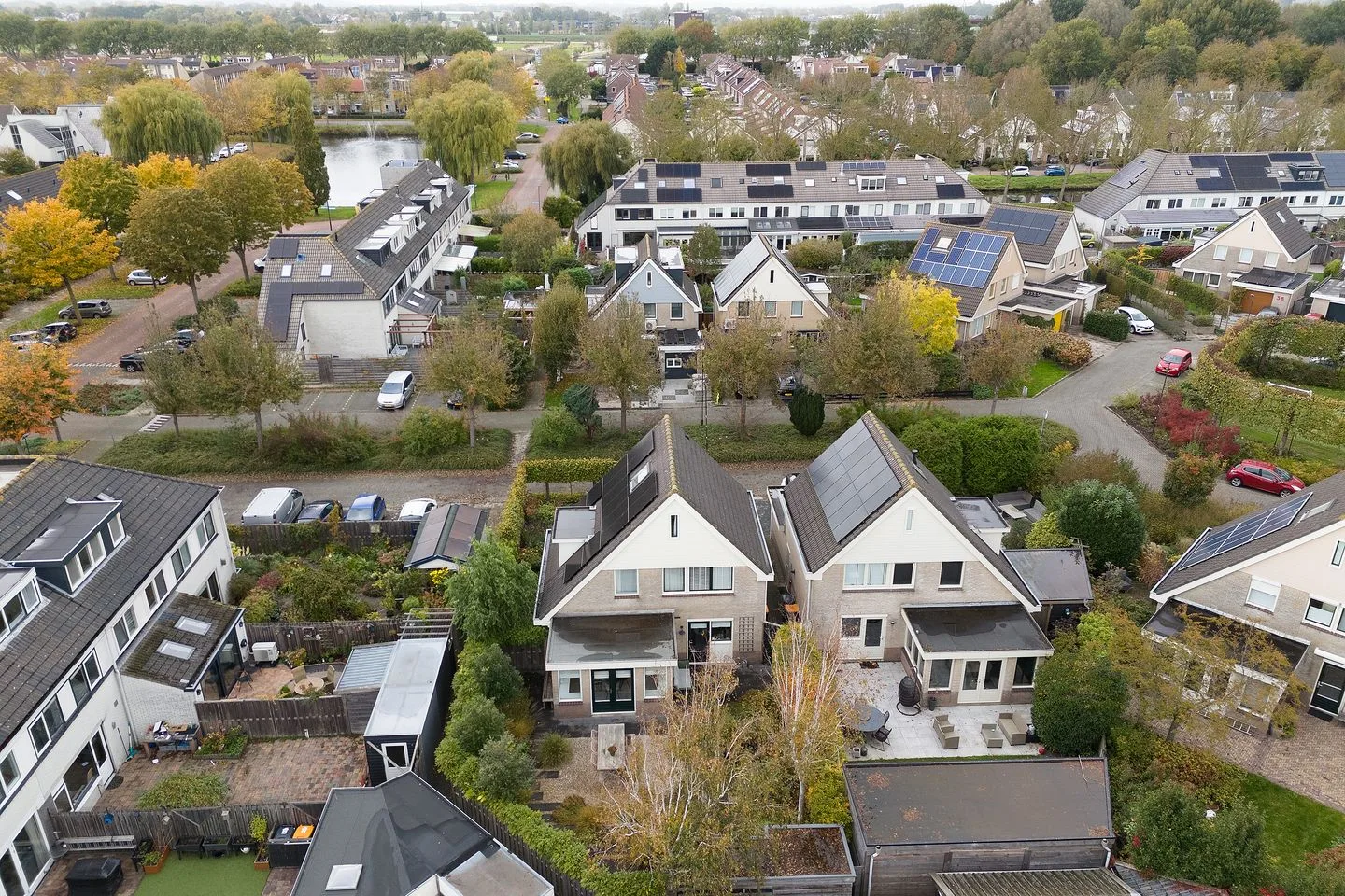 Gele Varaan 20 Heerhugowaard thumbnail 41