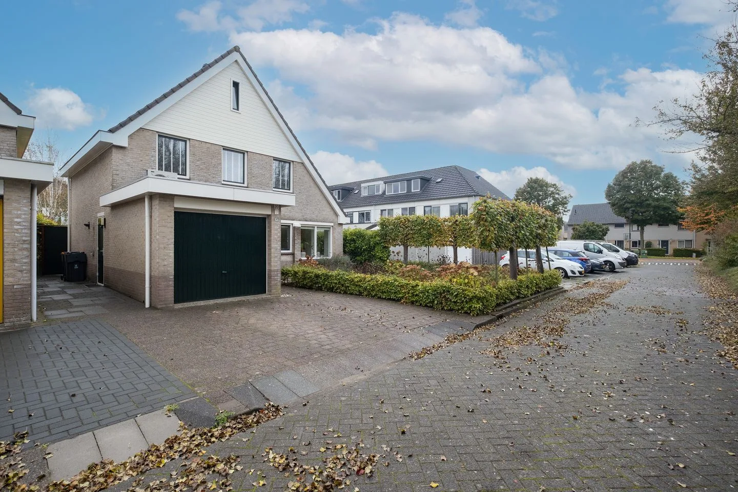 Gele Varaan 20 Heerhugowaard thumbnail 43
