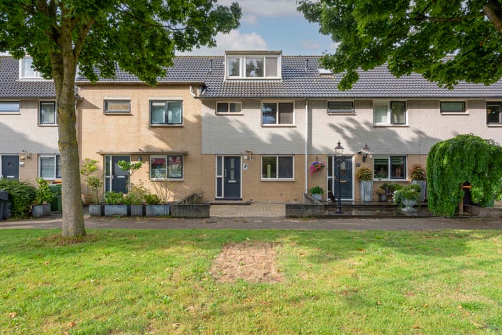 Gele Varaan 25 en Heerhugowaard foto