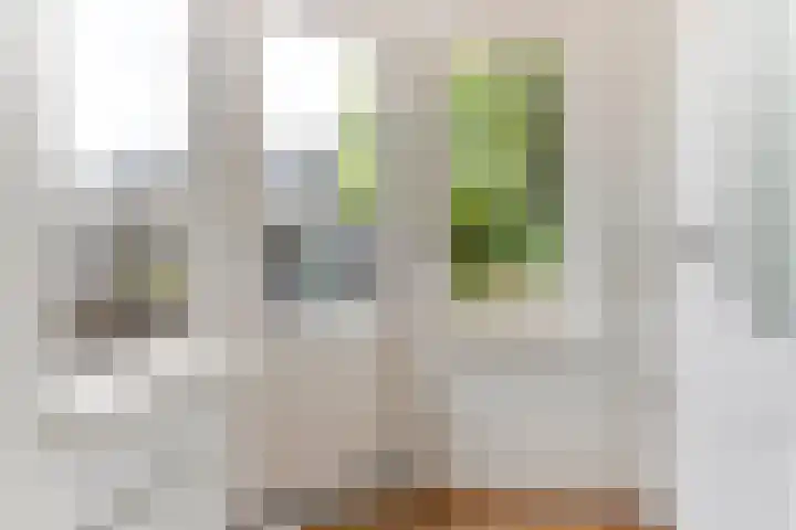 Gele Varaan 25 Heerhugowaard thumbnail 12