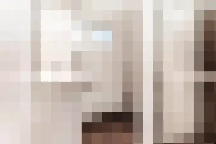 Gele Varaan 25 Heerhugowaard thumbnail 24