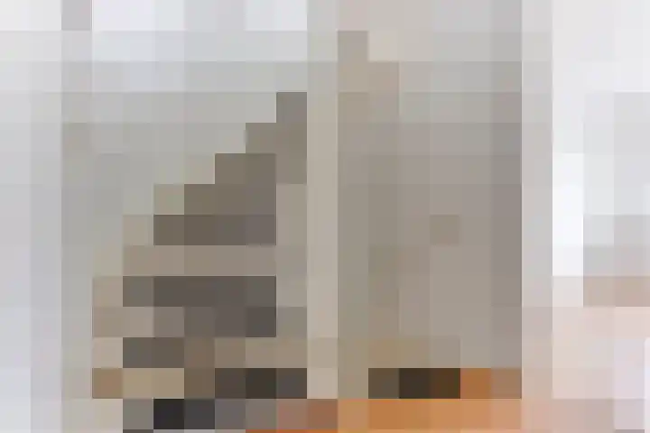 Gele Varaan 25 Heerhugowaard thumbnail 25