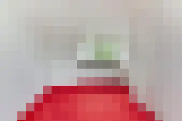 Gele Varaan 25 Heerhugowaard thumbnail 28