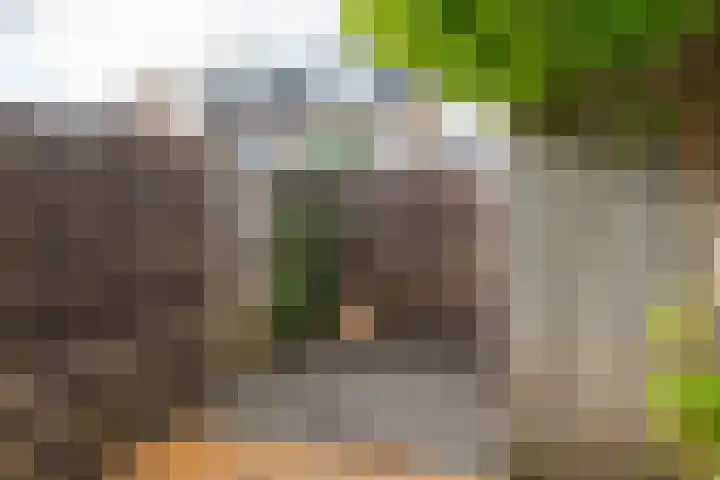 Gele Varaan 25 Heerhugowaard thumbnail 36