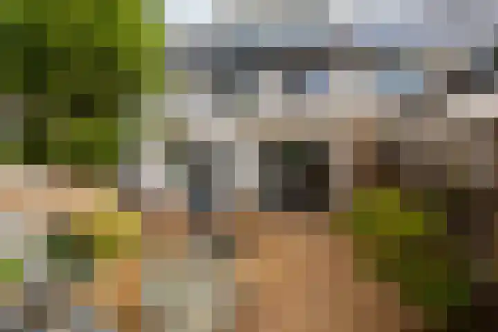 Gele Varaan 25 Heerhugowaard thumbnail 37