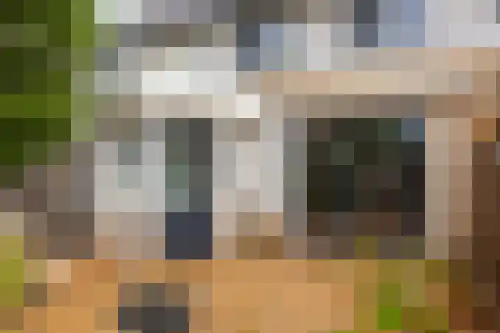 Gele Varaan 25 Heerhugowaard thumbnail 38
