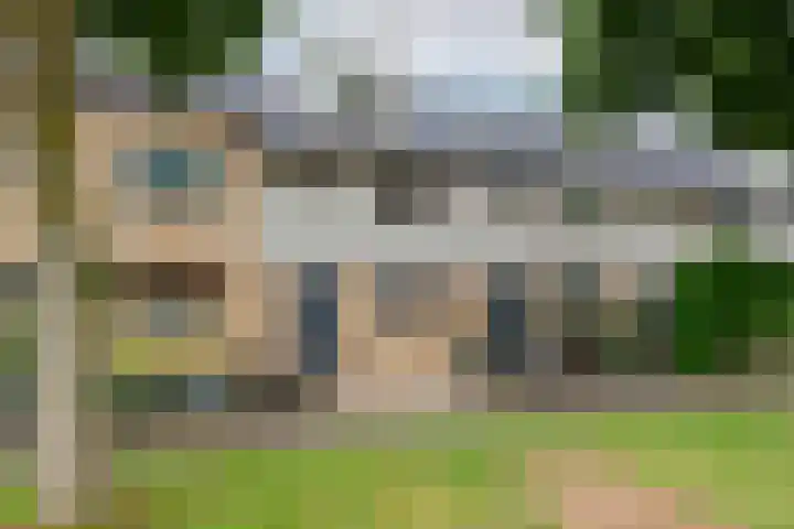 Gele Varaan 25 Heerhugowaard thumbnail 39