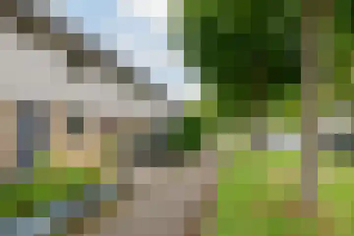 Gele Varaan 25 Heerhugowaard thumbnail 41