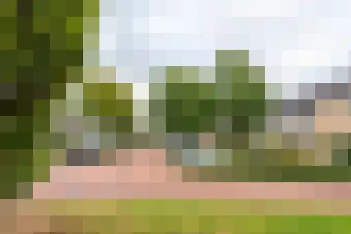 Gele Varaan 25 Heerhugowaard thumbnail 42