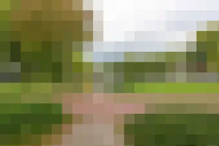Gele Varaan 25 Heerhugowaard thumbnail 43