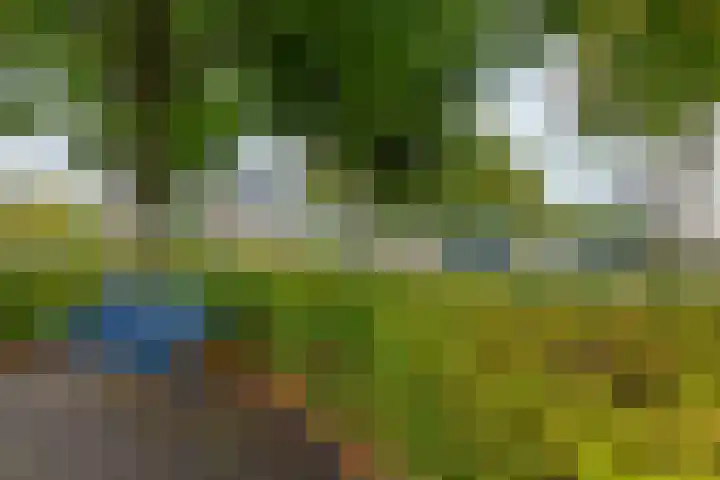 Gele Varaan 25 Heerhugowaard thumbnail 45