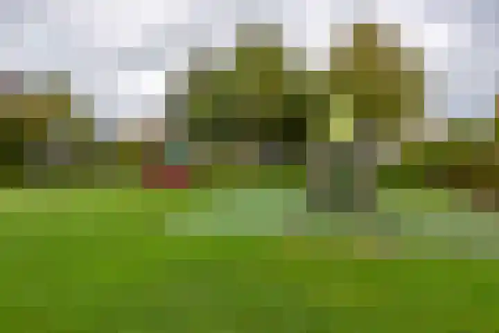 Gele Varaan 25 Heerhugowaard thumbnail 46