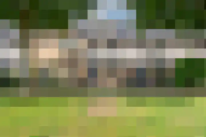 Gele Varaan 25 Heerhugowaard thumbnail 56