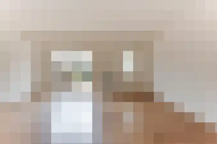 Gele Varaan 25 Heerhugowaard thumbnail 9