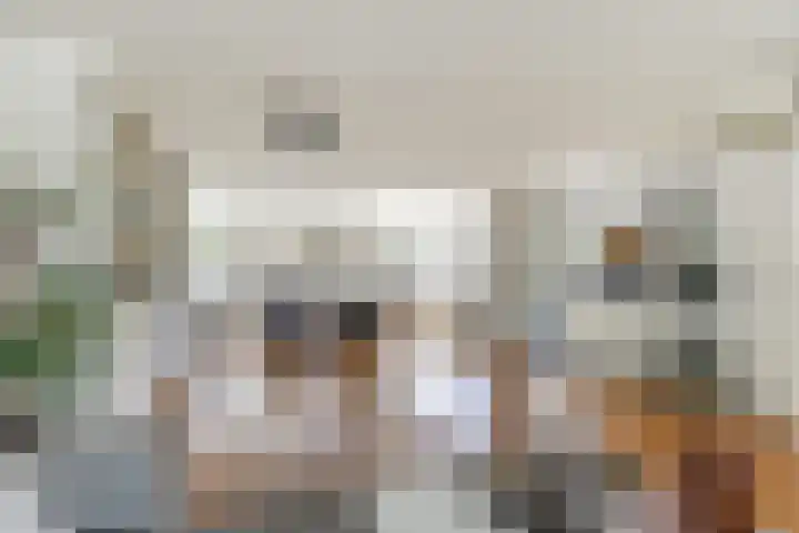 Gele Varaan 30 Heerhugowaard thumbnail 10