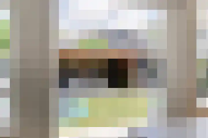 Gele Varaan 30 Heerhugowaard thumbnail 12