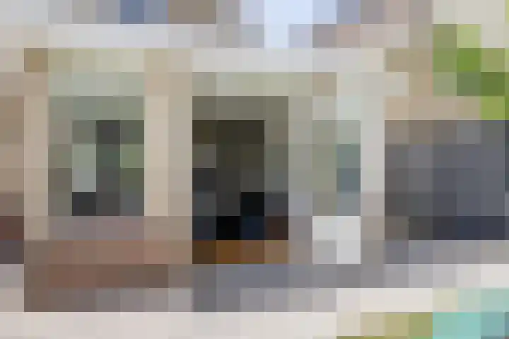 Gele Varaan 30 Heerhugowaard thumbnail 13