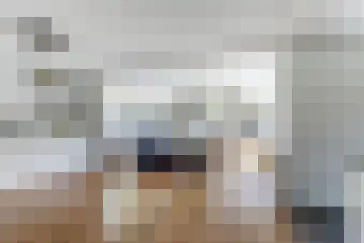 Gele Varaan 30 Heerhugowaard thumbnail 14