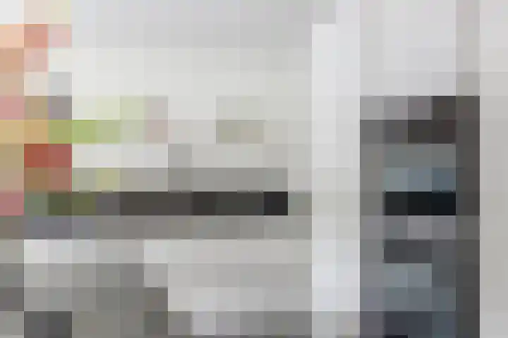 Gele Varaan 30 Heerhugowaard thumbnail 17