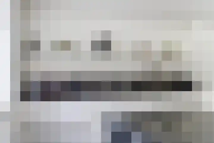 Gele Varaan 30 Heerhugowaard thumbnail 20