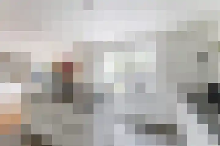 Gele Varaan 30 Heerhugowaard thumbnail 21