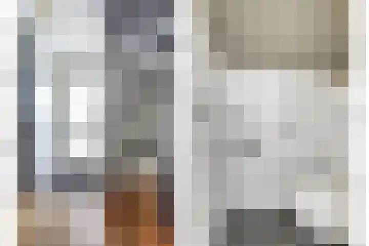 Gele Varaan 30 Heerhugowaard thumbnail 24