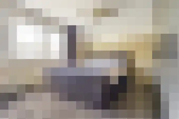 Gele Varaan 30 Heerhugowaard thumbnail 26